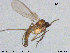  ( - TRD-Sci052)  @12 [ ] CreativeCommons - Attribution Non-Commercial Share-Alike (2015) NTNU University Museum, Department of Natural History NTNU University Museum, Department of Natural History