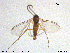  ( - TRD-Sci056)  @11 [ ] CreativeCommons - Attribution Non-Commercial Share-Alike (2015) NTNU University Museum, Department of Natural History NTNU University Museum, Department of Natural History