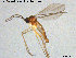  ( - TRD-Sci057)  @13 [ ] CreativeCommons - Attribution Non-Commercial Share-Alike (2015) NTNU University Museum, Department of Natural History NTNU University Museum, Department of Natural History