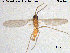  ( - TRD-Sci066)  @12 [ ] CreativeCommons - Attribution Non-Commercial Share-Alike (2015) NTNU University Museum, Department of Natural History NTNU University Museum, Department of Natural History