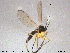  ( - TRD-Sci075)  @11 [ ] CreativeCommons - Attribution Non-Commercial Share-Alike (2015) NTNU University Museum, Department of Natural History NTNU University Museum, Department of Natural History