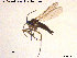  ( - TRD-Sci077)  @12 [ ] CreativeCommons - Attribution Non-Commercial Share-Alike (2015) NTNU University Museum, Department of Natural History NTNU University Museum, Department of Natural History