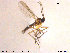  ( - TRD-Sci080)  @13 [ ] CreativeCommons - Attribution Non-Commercial Share-Alike (2015) NTNU University Museum, Department of Natural History NTNU University Museum, Department of Natural History