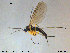  ( - TRD-Sci084)  @12 [ ] CreativeCommons - Attribution Non-Commercial Share-Alike (2015) NTNU University Museum, Department of Natural History NTNU University Museum, Department of Natural History