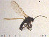  ( - TRD-Sci088)  @12 [ ] CreativeCommons - Attribution Non-Commercial Share-Alike (2015) NTNU University Museum, Department of Natural History NTNU University Museum, Department of Natural History