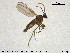  ( - TRD-Sci104)  @11 [ ] CreativeCommons - Attribution Non-Commercial Share-Alike (2015) NTNU University Museum, Department of Natural History NTNU University Museum, Department of Natural History
