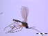  ( - bf-sci-00032)  @12 [ ] CreativeCommons - Attribution Share-Alike (2014) OlsenGammelmo BioFokus