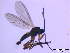  ( - bf-sci-00037)  @11 [ ] CreativeCommons - Attribution Share-Alike (2014) OlsenGammelmo BioFokus