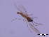  ( - bf-sci-00067)  @11 [ ] CreativeCommons - Attribution Share-Alike (2014) OlsenGammelmo BioFokus