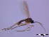 ( - bf-sci-00069)  @11 [ ] CreativeCommons - Attribution Share-Alike (2014) OlsenGammelmo BioFokus