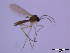  ( - bf-sci-00072)  @11 [ ] CreativeCommons - Attribution Share-Alike (2014) OlsenGammelmo BioFokus