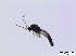  ( - bf-sci-00141)  @11 [ ] CreativeCommons - Attribution Non-Commercial Share-Alike (2014) Oivind Gammelmo BioFokus