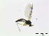  ( - bf-sci-00158)  @12 [ ] CreativeCommons - Attribution Non-Commercial Share-Alike (2014) Oivind Gammelmo BioFokus