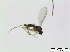  ( - bf-sci-00185)  @11 [ ] CreativeCommons - Attribution Non-Commercial Share-Alike (2014) Oivind Gammelmo BioFokus