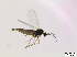  ( - bf-sci-00200)  @12 [ ] CreativeCommons - Attribution Non-Commercial Share-Alike (2014) Oivind Gammelmo BioFokus