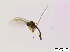  ( - bf-sci-00209)  @11 [ ] CreativeCommons - Attribution Non-Commercial Share-Alike (2014) Oivind Gammelmo BioFokus