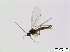  ( - bf-sci-00248)  @12 [ ] CreativeCommons - Attribution Non-Commercial Share-Alike (2014) Oivind Gammelmo BioFokus