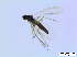  ( - bf-sci-00275)  @11 [ ] CreativeCommons - Attribution Non-Commercial Share-Alike (2014) Oivind Gammelmo BioFokus