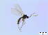  ( - bf-sci-00279)  @12 [ ] CreativeCommons - Attribution Non-Commercial Share-Alike (2014) Oivind Gammelmo BioFokus