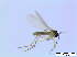  ( - bf-sci-00286b)  @11 [ ] CreativeCommons - Attribution Non-Commercial Share-Alike (2015) Oivind Gammelmo BioFokus