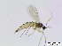  ( - bf-sci-00662)  @12 [ ] CreativeCommons - Attribution Non-Commercial Share-Alike (2015) Oivind Gammelmo BioFokus