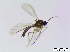  ( - bf-sci-00663)  @11 [ ] CreativeCommons - Attribution Non-Commercial Share-Alike (2015) Oivind Gammelmo BioFokus