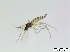  ( - bf-sci-00685)  @12 [ ] CreativeCommons - Attribution Non-Commercial Share-Alike (2015) Oivind Gammelmo BioFokus