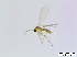  ( - bf-sci-00686)  @11 [ ] CreativeCommons - Attribution Non-Commercial Share-Alike (2015) Oivind Gammelmo BioFokus