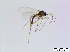  ( - bf-sci-00687)  @11 [ ] CreativeCommons - Attribution Non-Commercial Share-Alike (2015) Oivind Gammelmo BioFokus