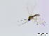  ( - bf-sci-00689)  @11 [ ] CreativeCommons - Attribution Non-Commercial Share-Alike (2015) Oivind Gammelmo BioFokus