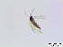  ( - bf-sci-00694)  @12 [ ] CreativeCommons - Attribution Non-Commercial Share-Alike (2015) Oivind Gammelmo BioFokus