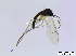  ( - bf-sci-00704)  @12 [ ] CreativeCommons - Attribution Non-Commercial Share-Alike (2015) Oivind Gammelmo BioFokus