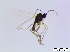  ( - bf-sci-00705)  @11 [ ] CreativeCommons - Attribution Non-Commercial Share-Alike (2015) Oivind Gammelmo BioFokus