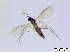  ( - bf-sci-00710)  @11 [ ] CreativeCommons - Attribution Non-Commercial Share-Alike (2015) Oivind Gammelmo BioFokus