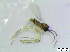  ( - bf-sci-00743)  @12 [ ] CreativeCommons - Attribution Non-Commercial Share-Alike (2016) Kjell Magne Olsen BioFokus