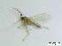  ( - bf-sci-00750)  @11 [ ] CreativeCommons - Attribution Non-Commercial Share-Alike (2016) Kjell Magne Olsen BioFokus
