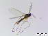  ( - bf-sci-00767)  @12 [ ] CreativeCommons - Attribution Non-Commercial Share-Alike (2016) Oivind Gammelmo BioFokus