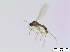  ( - bf-sci-00776)  @11 [ ] CreativeCommons - Attribution Non-Commercial Share-Alike (2016) Oivind Gammelmo BioFokus