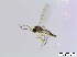  ( - bf-sci-00779)  @11 [ ] CreativeCommons - Attribution Non-Commercial Share-Alike (2016) Oivind Gammelmo BioFokus