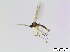  ( - bf-sci-00781)  @12 [ ] CreativeCommons - Attribution Non-Commercial Share-Alike (2016) Oivind Gammelmo BioFokus
