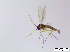  ( - bf-sci-00799)  @12 [ ] CreativeCommons - Attribution Non-Commercial Share-Alike (2016) Oivind Gammelmo BioFokus