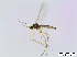  ( - bf-sci-00811)  @13 [ ] CreativeCommons - Attribution Non-Commercial Share-Alike (2016) Oivind Gammelmo BioFokus