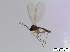  ( - bf-sci-00820)  @12 [ ] CreativeCommons - Attribution Non-Commercial Share-Alike (2016) Oivind Gammelmo BioFokus