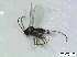  ( - bf-sci-00941)  @12 [ ] CreativeCommons - Attribution Non-Commercial Share-Alike (2016) Kjell Magne Olsen BioFokus