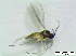  ( - bf-sci-00958)  @11 [ ] CreativeCommons - Attribution Non-Commercial Share-Alike (2016) Kjell Magne Olsen BioFokus