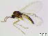  ( - bf-sci-01009)  @11 [ ] CreativeCommons - Attribution Share-Alike (2015) OlsenGammelmo BioFokus