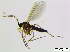  ( - bf-sci-01041)  @12 [ ] CreativeCommons - Attribution Share-Alike (2015) OlsenGammelmo BioFokus