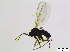  ( - bf-sci-01049)  @11 [ ] CreativeCommons - Attribution Share-Alike (2015) OlsenGammelmo BioFokus