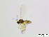  ( - bf-sci-01061)  @13 [ ] CreativeCommons - Attribution Share-Alike (2015) OlsenGammelmo BioFokus