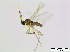  ( - bf-sci-01089)  @13 [ ] CreativeCommons - Attribution Share-Alike (2015) OlsenGammelmo BioFokus